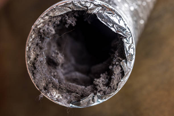 Best Air Duct Cleaning Near Me  in Stlman Valley, IL