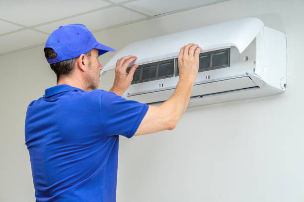 Best Ductwork Cleaning Services  in Stlman Valley, IL