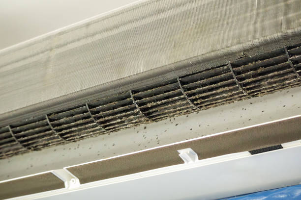 Best Local Air Duct Cleaning Services  in Stlman Valley, IL